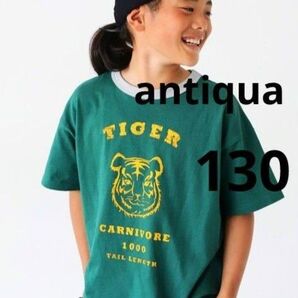 antiqua カレッジロゴ リンガー Tシャツ TIGER 130