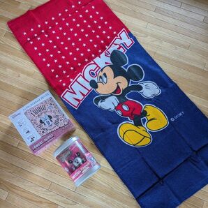 未使用 ミニーマウス パズル&マイクロペット&ミッキーマウス タオル
