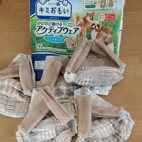 犬用オムツ アクティブウェア