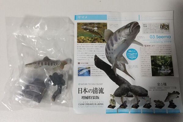 ネイチャーテクニカラー 日本の清流 増補特装版 ヤマメ