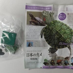 ネイチャーテクニカラー 日本のカメ 特装版 ミシシッピアカミミガメ