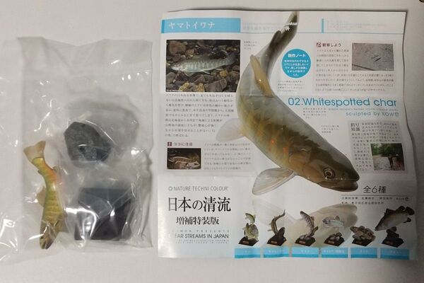 ネイチャーテクニカラー 日本の清流 増補特装版 ヤマトイワナ