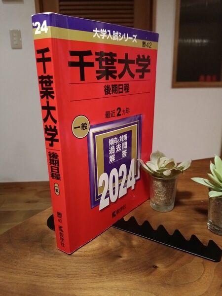 千葉大学 (後期日程) (2024年版大学入試シリーズ)
