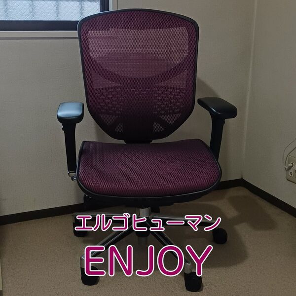 エルゴヒューマン エンジョイ Enjoy ロータイプ(メッシュ) EJ-LAM