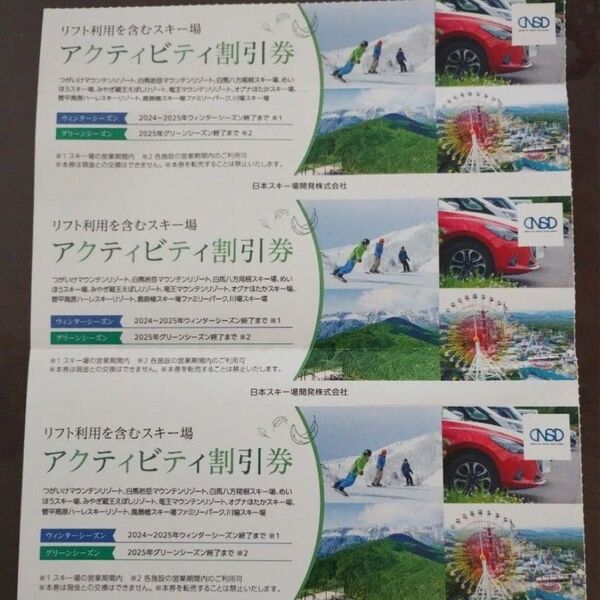 日本スキー場開発 アクティビティ割引券 3枚分