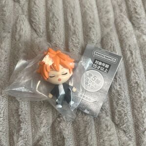 ハイキュー!! ねむらせ隊 日向翔陽