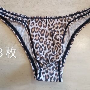 SURYA P L G 3枚 最終品