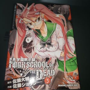 学園黙示録HIGHSCHOOL OF THE DEAD 3