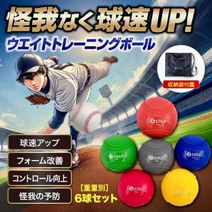 【新品】野球 ウエイトボール 6種セット /トレーニング 投球練習 球速アップ コントロールアップ サンドボール