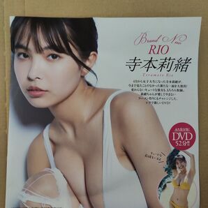 寺本莉緒 プレイボーイ 付録 DVD