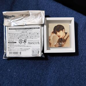 スビン フレームマグネット