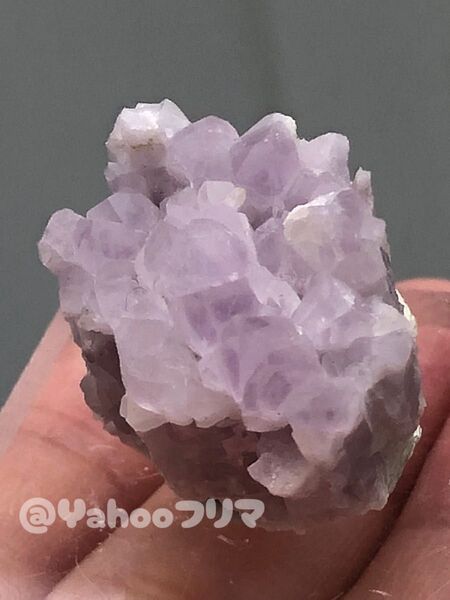 国産鉱物 さのう 紫水晶クラスター
