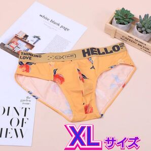 XLサイズ メンズブリーフ ビキニパンツ ファションアンダーウェア