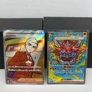 シュウメイ SR テラスタルフェスex