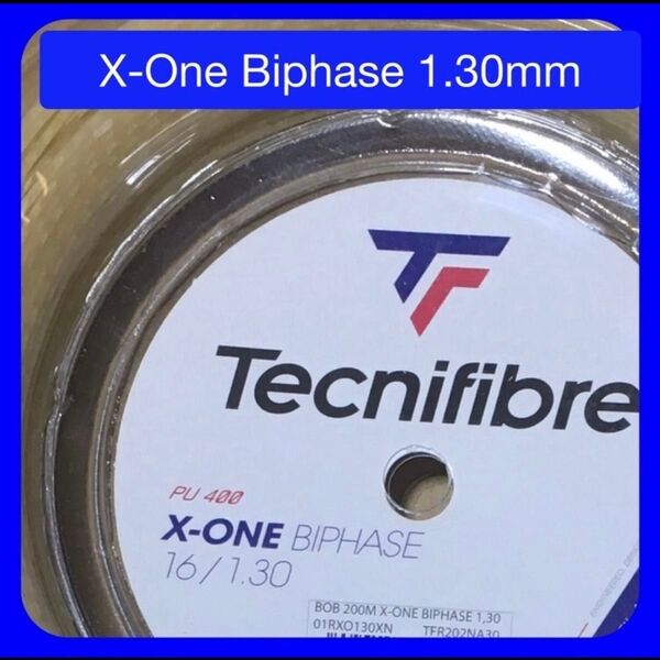 5 張分 X-ONE BIPHASE 1.3 エックスワン バイフェイズ ガット