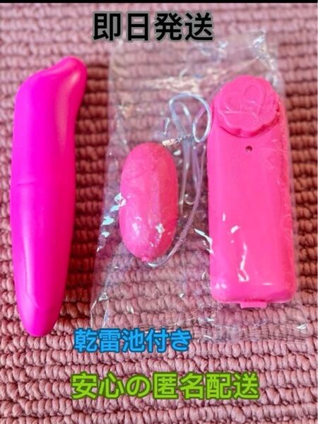 シングル ローター マッサージ機 2個