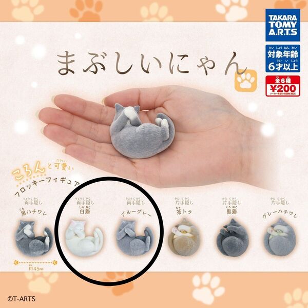 まぶしいにゃん ガチャ マグネット ねこ
