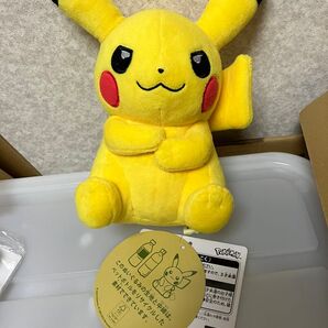ポケモン ポケモンセンター ピカチュウ ぬいぐるみ マイピカチュウ つり目