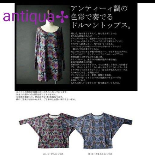 antiqua 総柄ドルマントップス長袖 カットソー