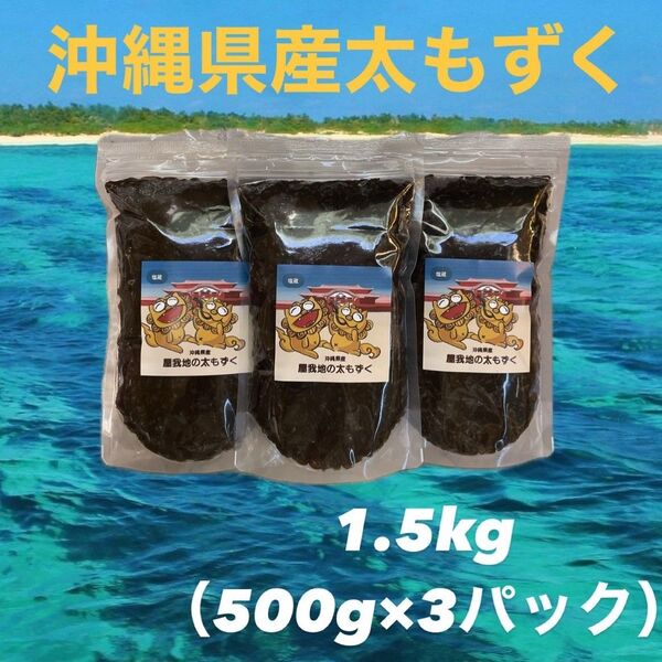 2025年産漁師直送!沖縄県産太もずく1.5kg(500g×3パック)塩蔵もずく送料無料沖縄料理/沖縄特産品/沖縄土産