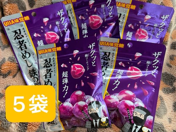 忍者めし 鉄の鎧 5袋 グレープ味