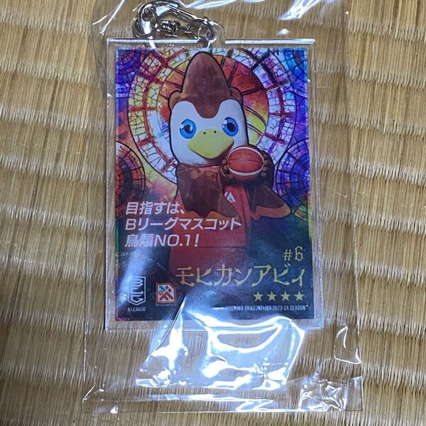 広島ドラゴンフライズ キーホルダー