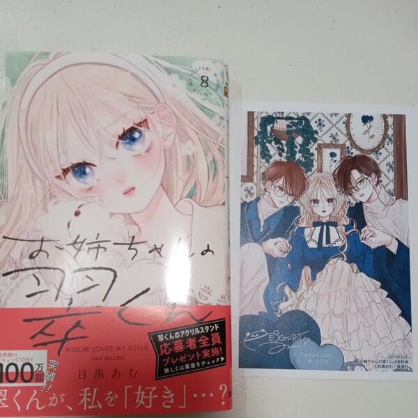 お姉ちゃんの翠くん 8 (マーガレットコミックス) 目黒あむ/著 初版 特典 アニメイト メッセージ イラスト ス 翠くん 菖