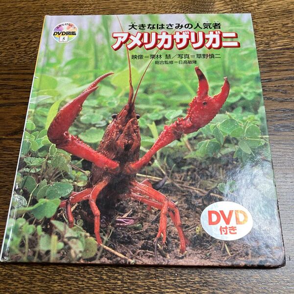 DVD図鑑 5 アメリカザリガニ 日高 敏隆 総合監修