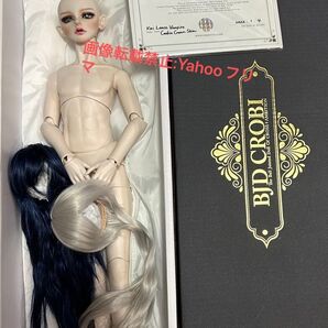 crobi doll Lance Vampire 怪 -Kai- 大天狗 ドール本体 世界25体限定
