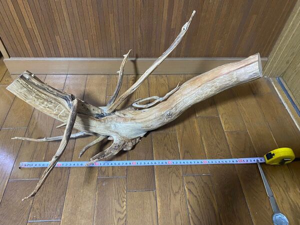 流木 アクアリウム オンリーワン 水槽 爬虫類 鳥 シェルター