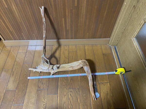 ★ 流木 アクアリウム オンリーワン 水槽 爬虫類 鳥 シェルター