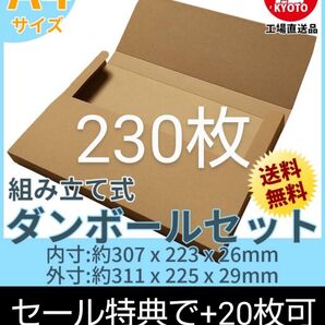 ネコポスクリックポストゆうパケット定形外郵便A4 ヤッコ型230枚+20枚