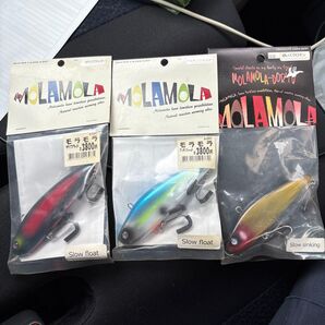 枚併 オーバスライブ 初期モラモラ