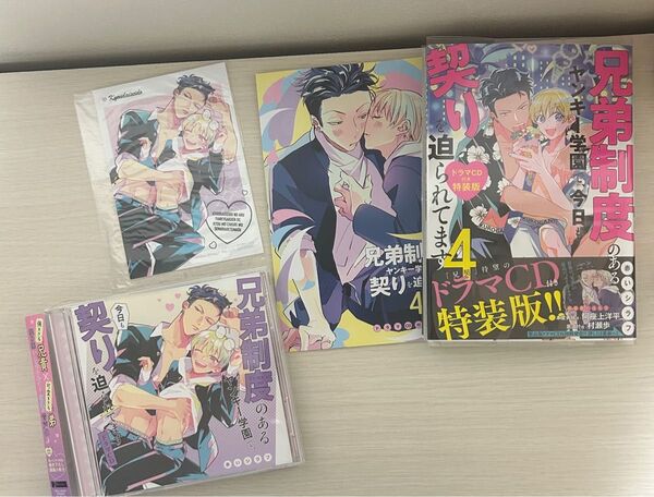 兄弟制度のあるヤンキー学園で今日も契り迫られています ドラマCD 特典付き
