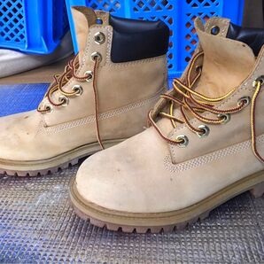 Timberland ブーツ ベージュ