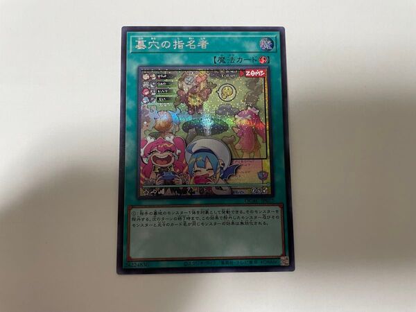 墓穴の指名者 絵違い シークレット