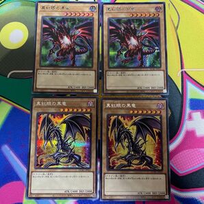 レッドアイズブラックドラゴン 原作 絵違い シークレット まとめ売り