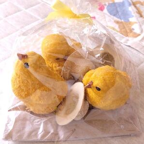 園芸 ヒヨコ まとめ売り 3匹