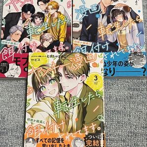 ヤンキー漫画に転生したら、何故か総長 全3巻 セット (ZERO-SUMコミックス) ビス むぎちゃぽよこ