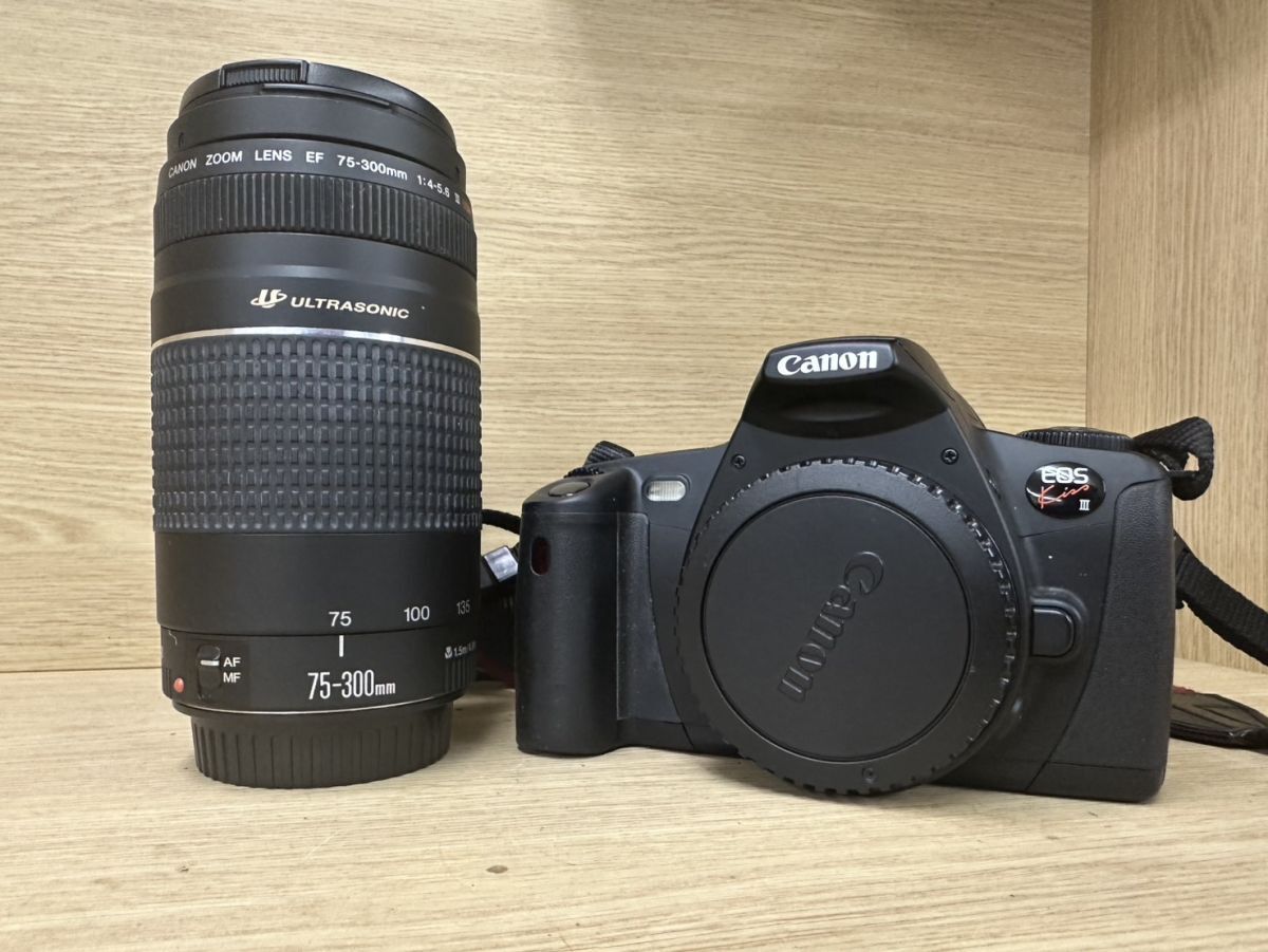 Yahoo!オークション -「ef 75-300mm f4-5.6 iii usm」の落札相場 Yahoo!オークション -「ef 75-300mm f4-5.6 iii usm」の落札相場