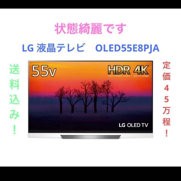 LG 液晶テレビ OLED55E8PJA