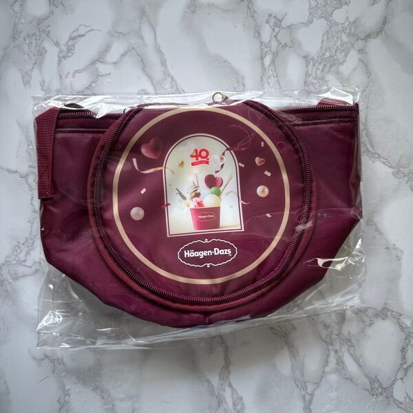 ハーゲンダッツ保冷バッグ