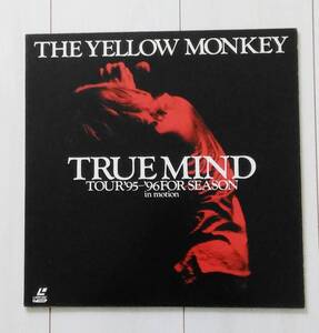 〓LD ザ・イエロー・モンキー 〓 TRUE MIND TOUR'95-'96FOR SEASON in motion / THE YELLOW MONKEY