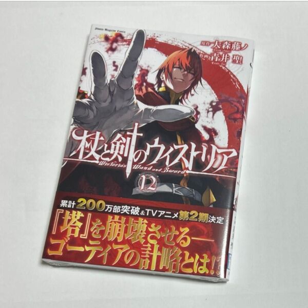 杖と剣のウィストリア 12 (講談社コミックス 週刊少年マガジン) 大森藤ノ/原作 青井聖/作画