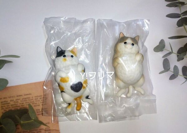 もっちりころりん ねこ ソフビ ヘソ天三毛 ヘソ天 ハチワレグレー 未開封 2個セット