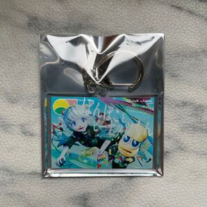 QJ×ぽんぽことピーナッツくん アクリルキーホルダー 新品未開封