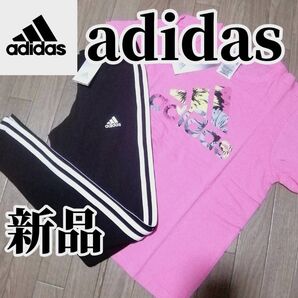 【希少残りわずか】値下げ不可 新品 アディダス レディース 上下セット Мサイズ ピンク ブラック