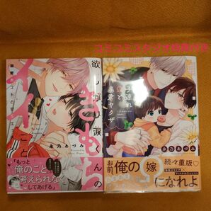 BL 子連れΩと暴君ヤクザ 欲しがり涙くんのきもちイイこと~溺愛ホストと甘Sエッチ 永乃あづみ