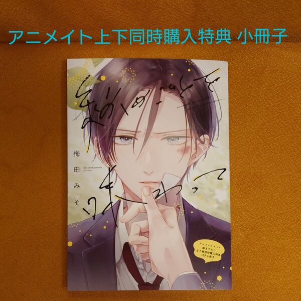 BL 秘めごとを味わって 梅田みそ アニメイト上下巻同時購入特典 描き下ろし小冊子