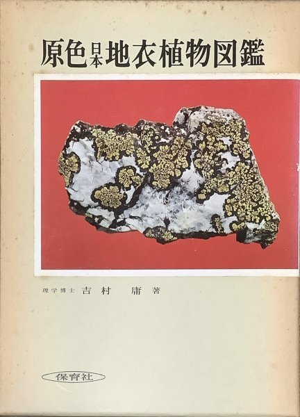 2025年最新】Yahoo!オークション -原色日本植物図鑑の中古品 2025年最新】Yahoo!オークション -原色日本植物図鑑の中古品